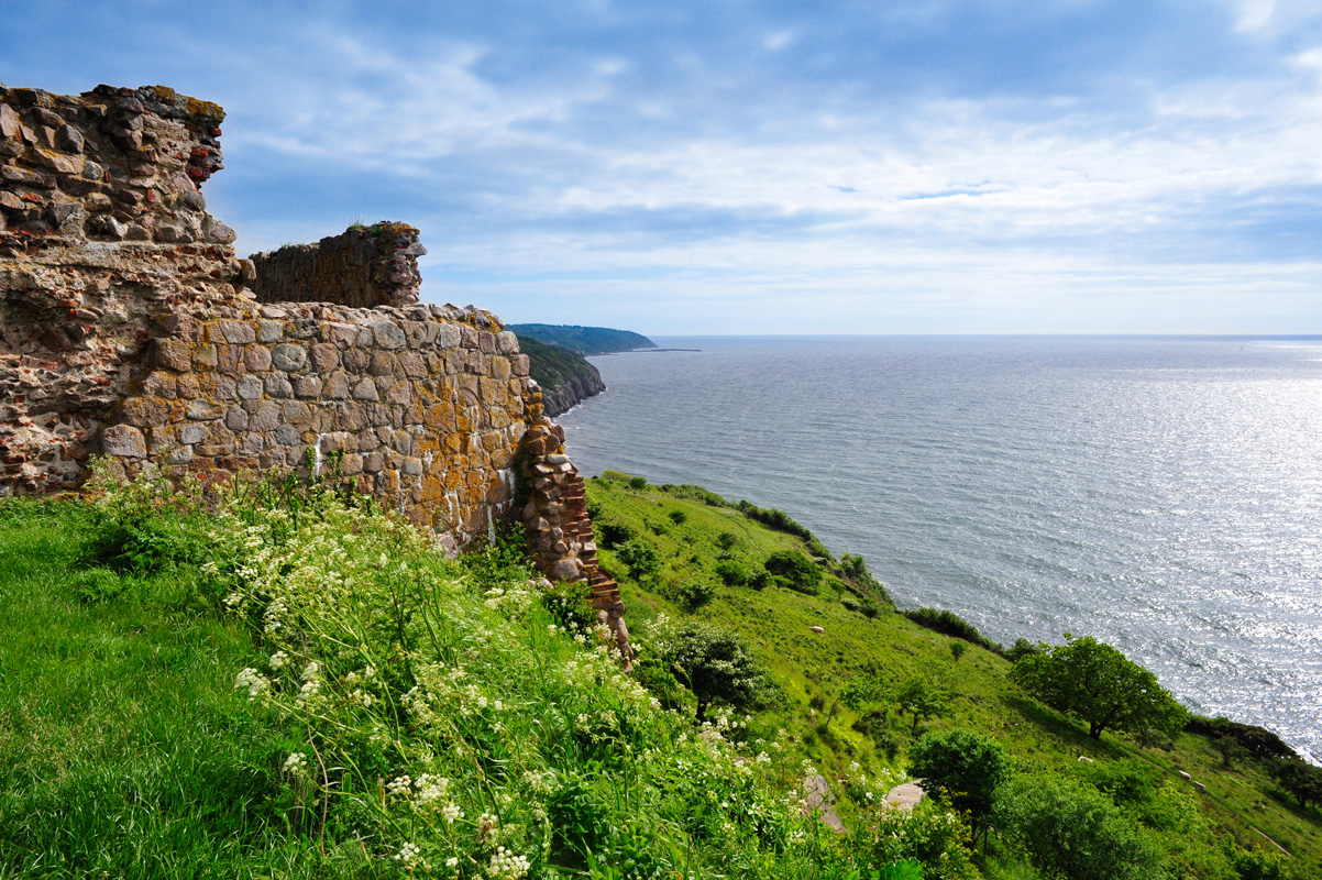 Viking Denmark