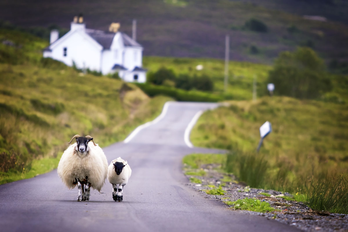 scotland_highlights_expatexplore