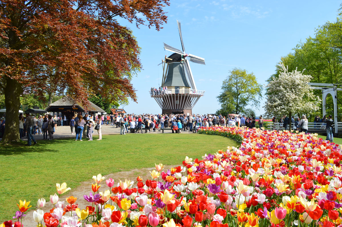 Keukenhof, the Netherlands