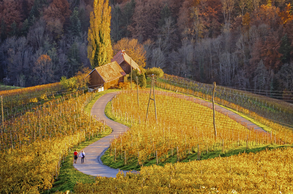 slovenia-travel-europe-expat-explore-15