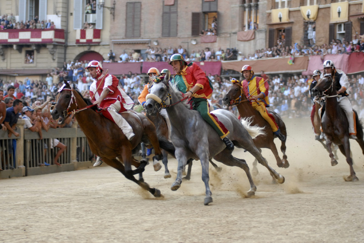 The Palio di Siena horses in action.