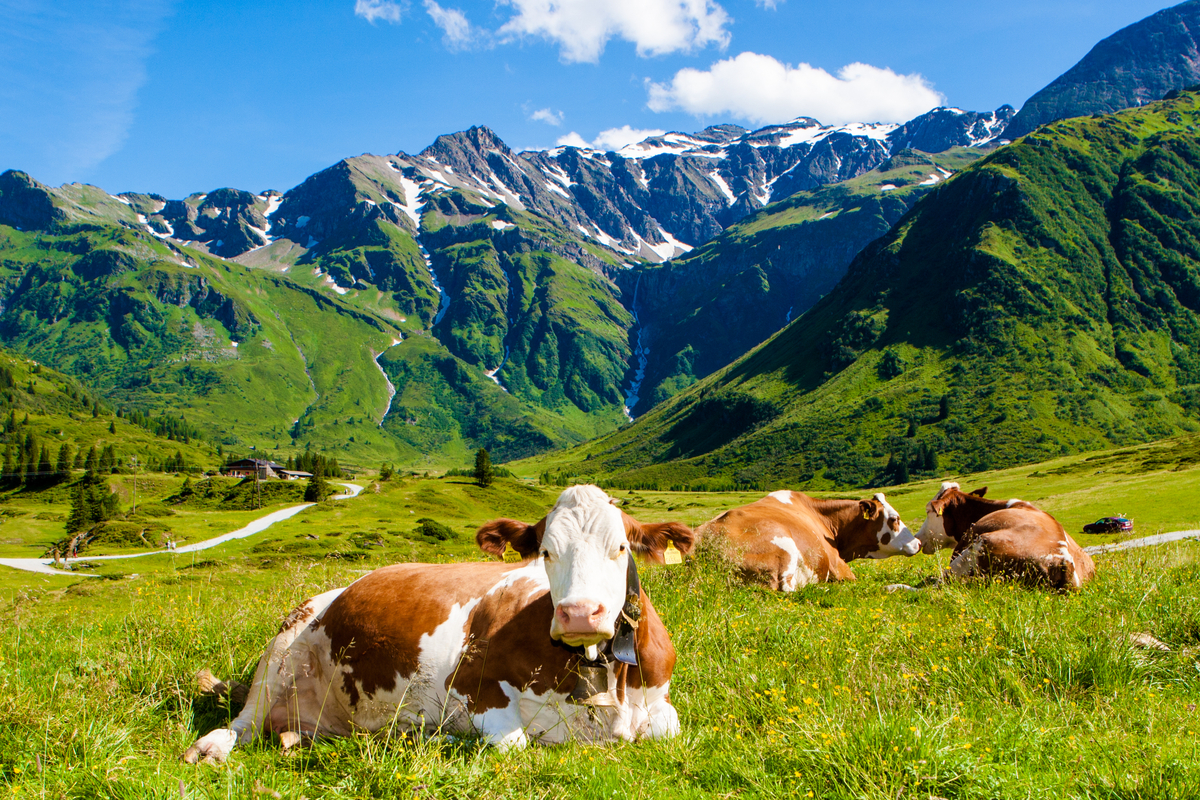 Switzerland: 10 Interesting facts to know before you go