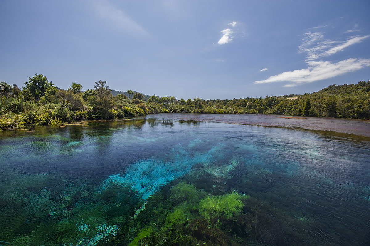 Te Waikoropupū Springs New Zealand