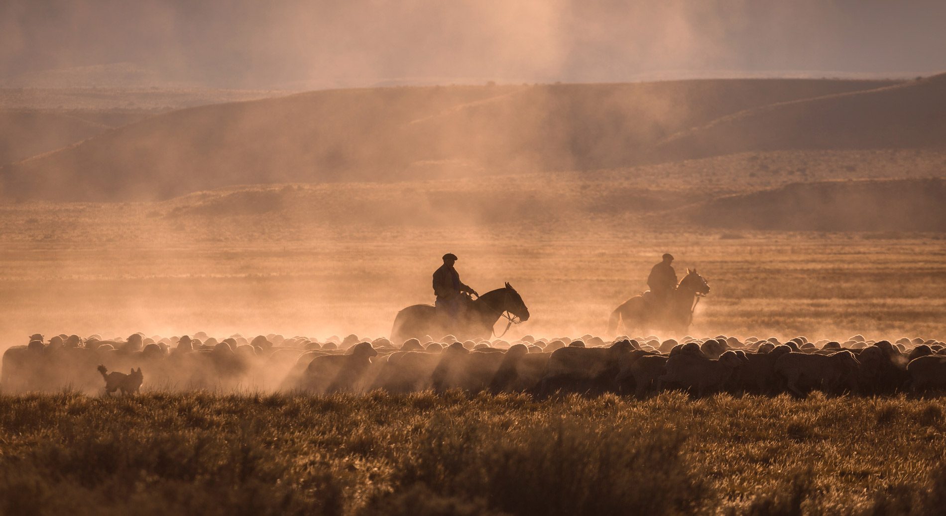 Get the full cowboy experience in Estancia just outside of Buenos Aires