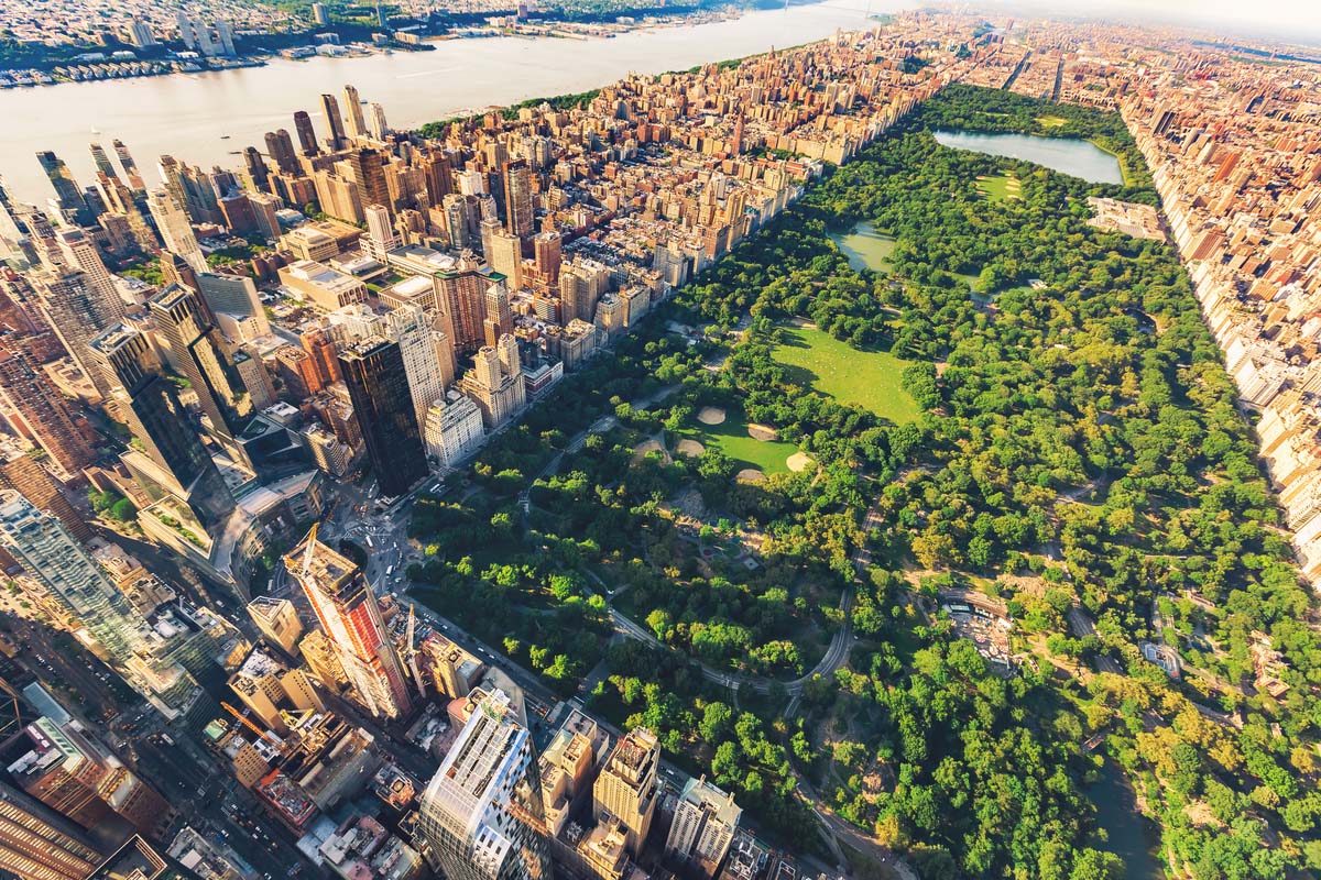 Central park in Manhattan, New York