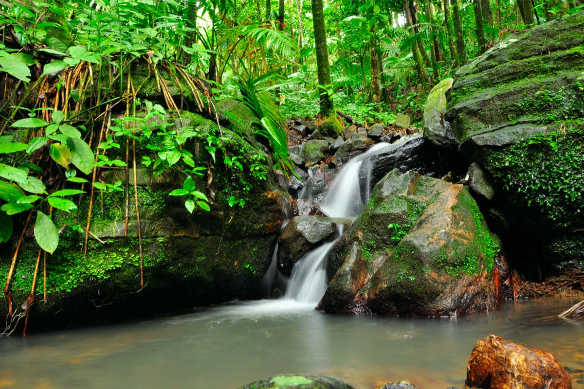 A waterfall in El Yunque Rain Forest