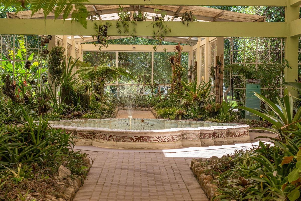 Rio de Janeiro Botanical Garden