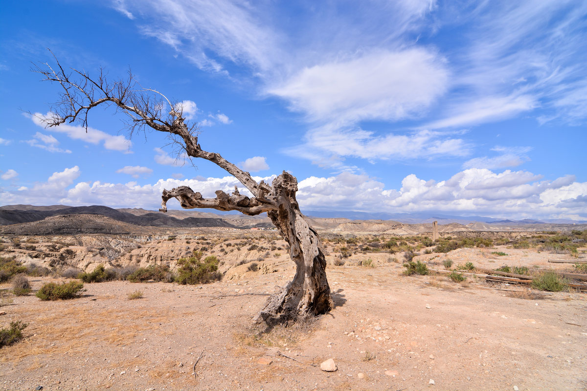 Desert Tabernas in Almeria Province