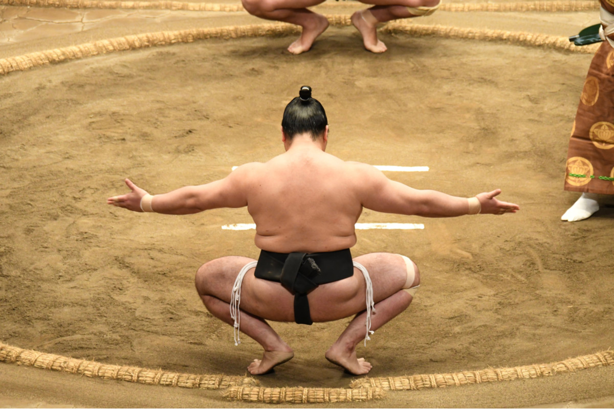 Learn more about sumo wrestling at the sumo arena