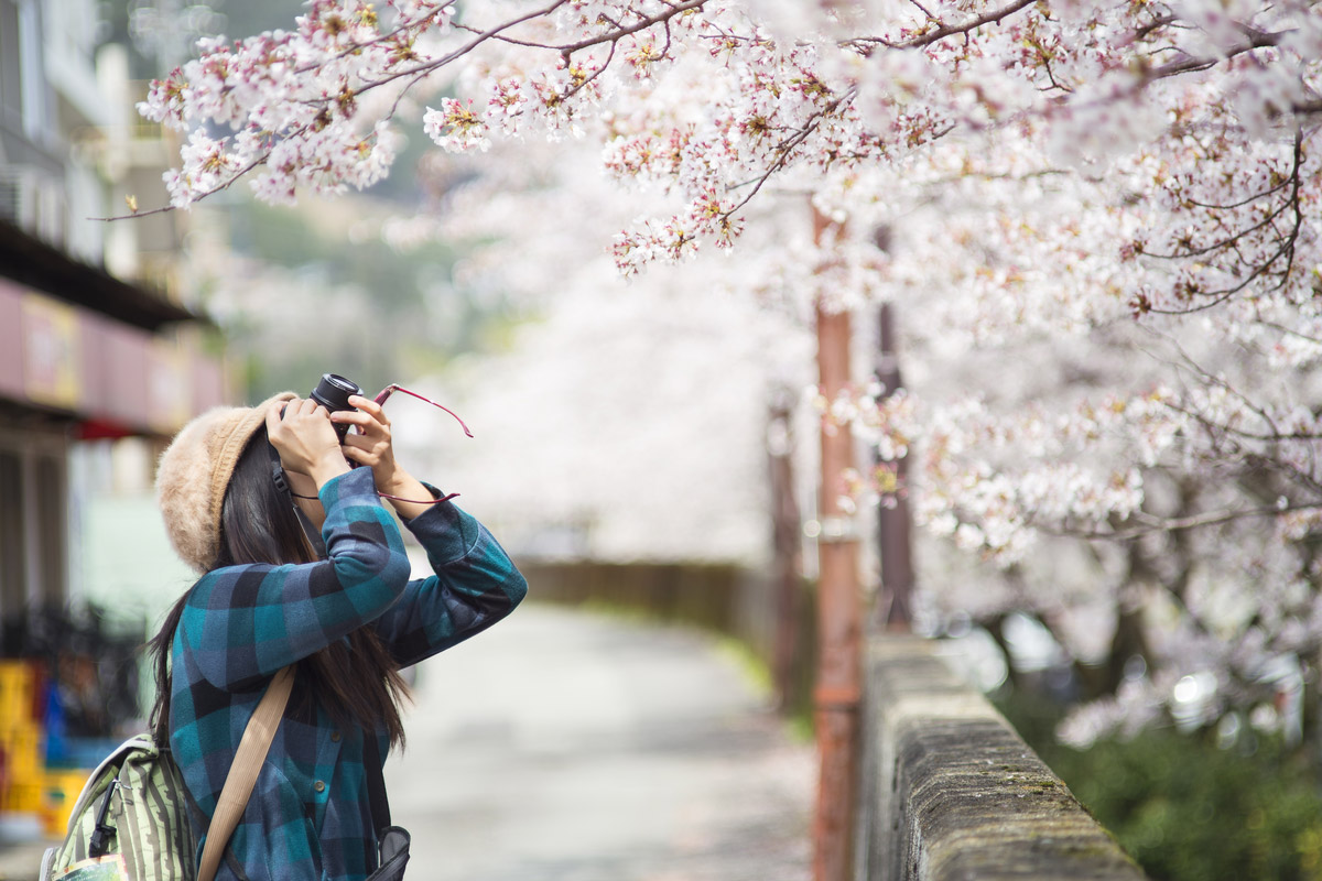You'l get to see all the amazing popular tourist destinations
