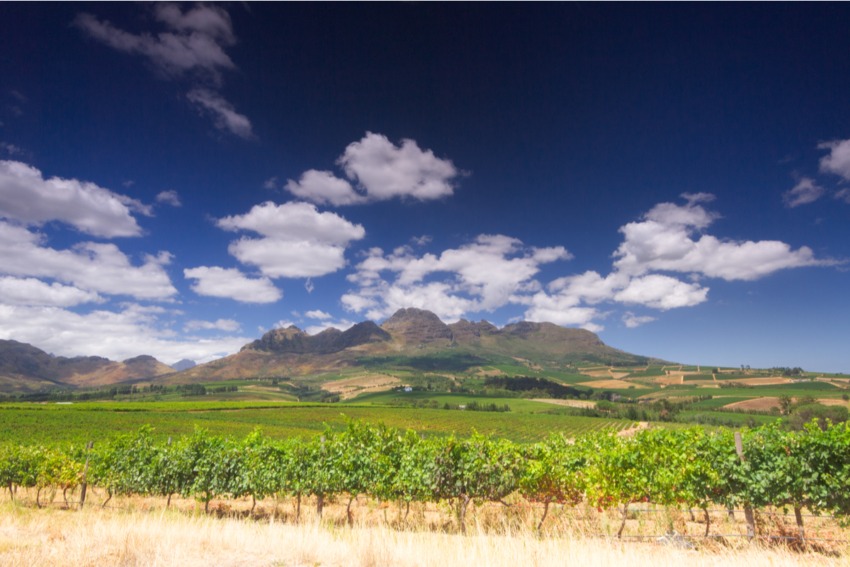 View of Cape Winelands South Africa railway journeys