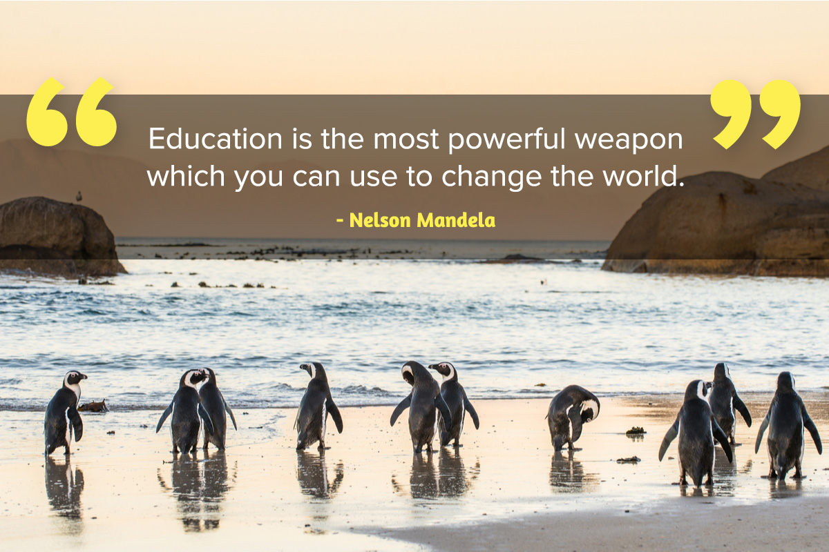 Image of Penguins at Boulders Beach South Africa Inspirational quote Nelson Mandela Day