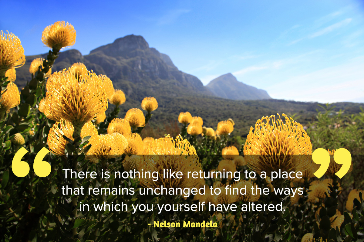 Cape fynbos and Inspirational quote Nelson Mandela Day