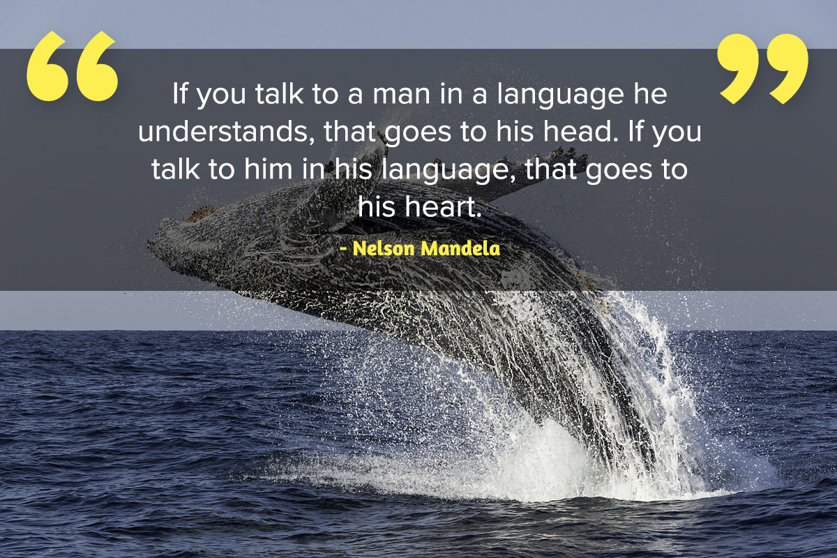 Humpback whale in South Africa Inspirational quote Nelson Mandela Day