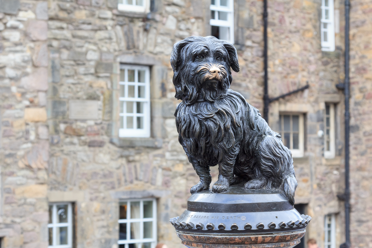 Greyfriars Bobby, Edinburgh, Halloween