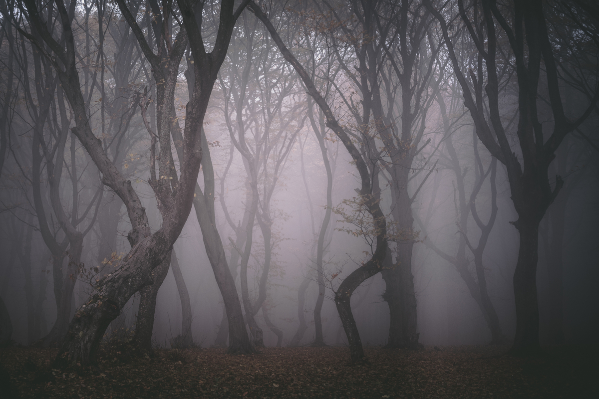 Hoia-Baciu, Romania, Halloween