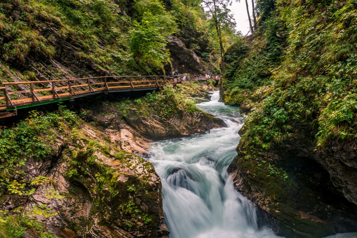 Vintgar Gorge Slovenia, spring walks