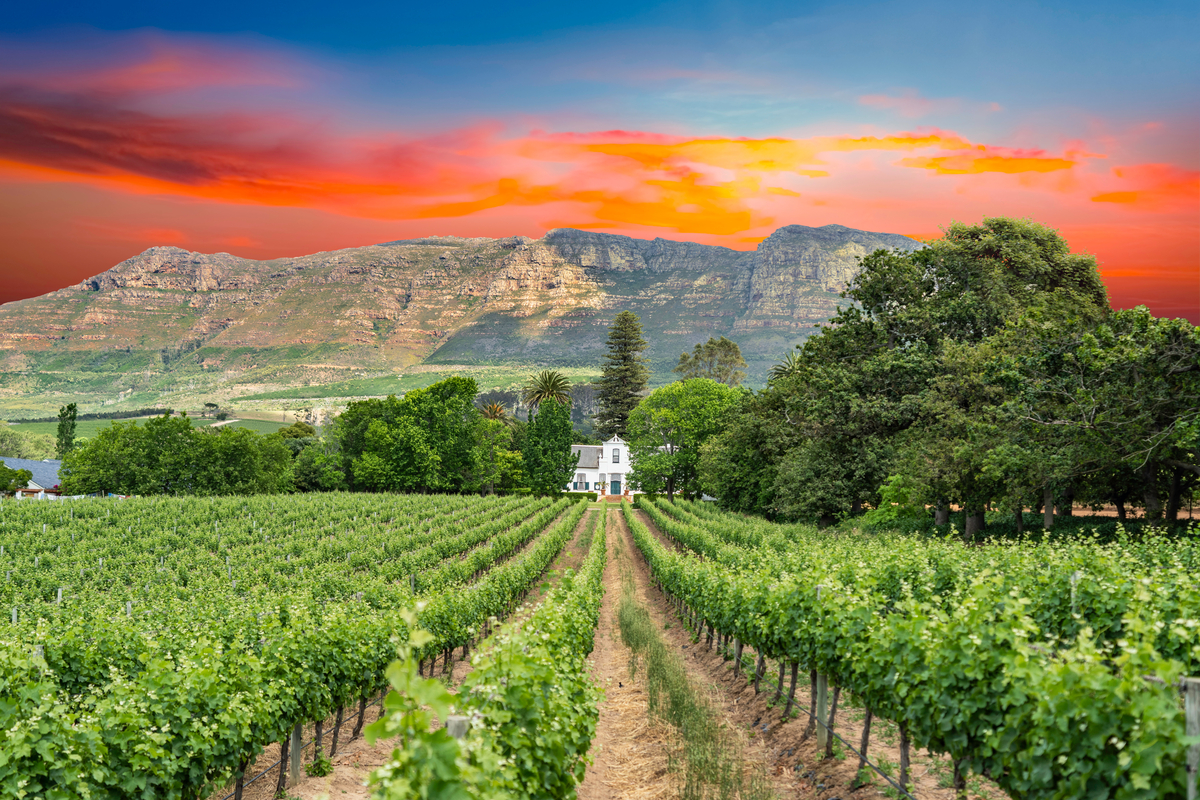 Constantia Winelands, Cape Town, South Africa