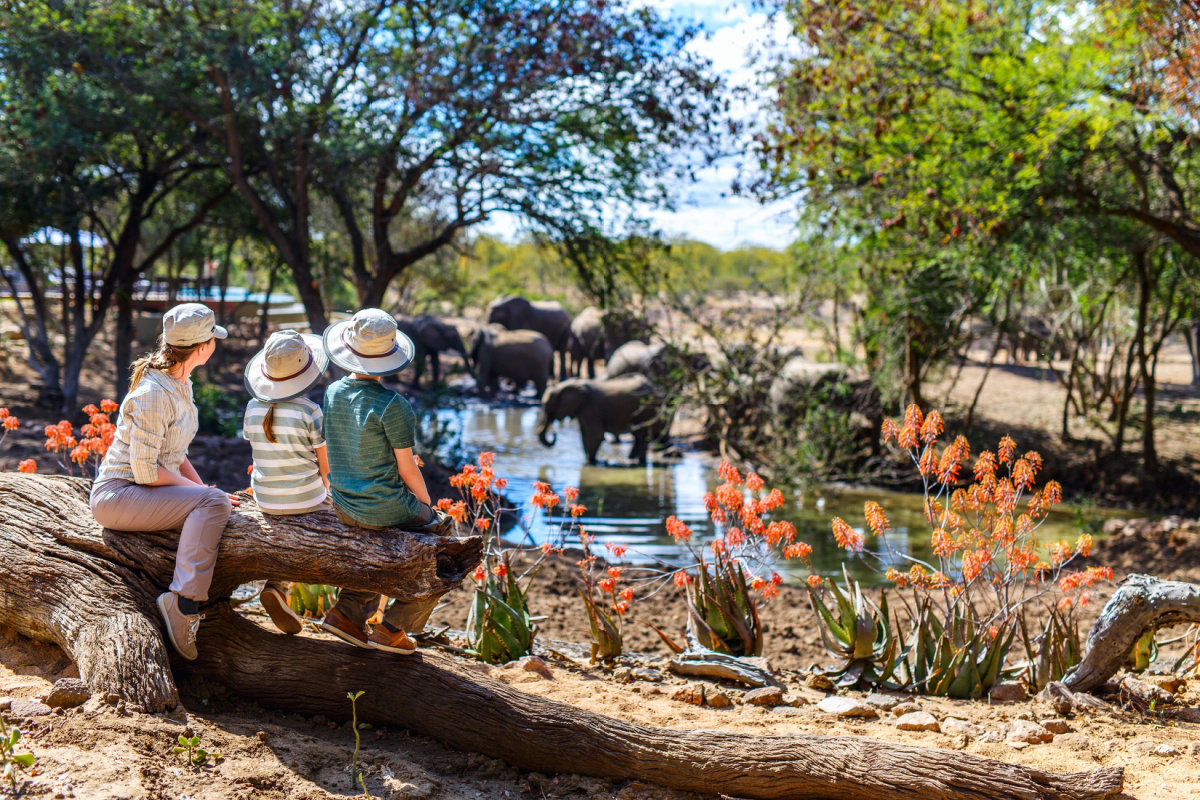 Family on safari viewing elephants in Africa, 2023 trends