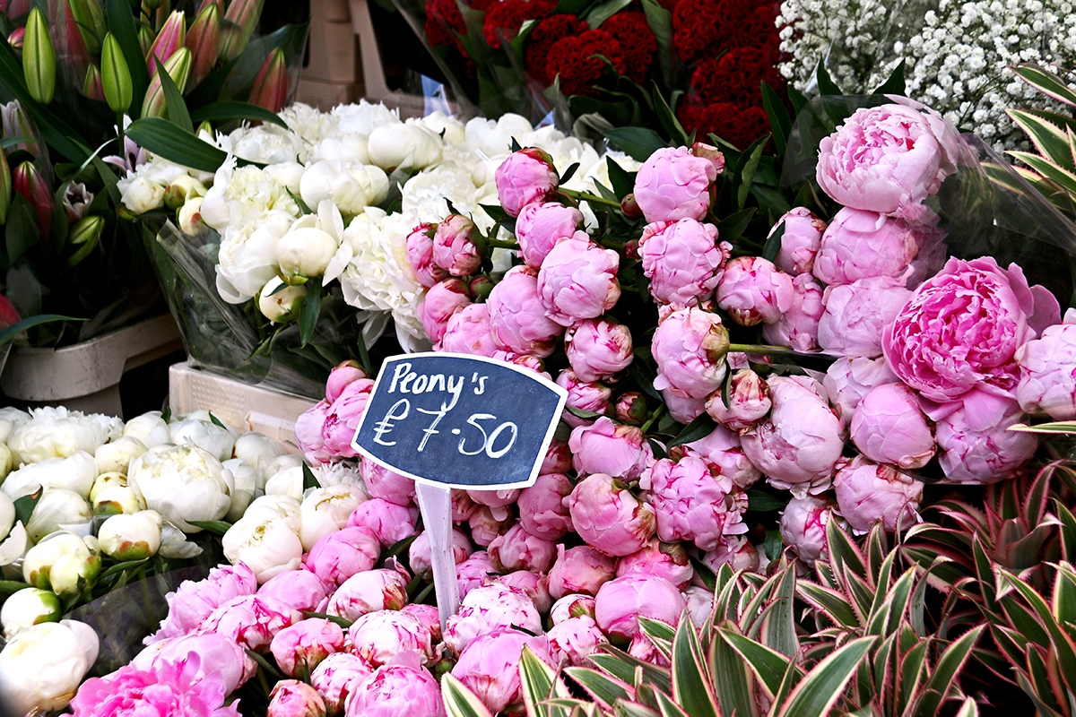 Columbia Road Flower Market, London