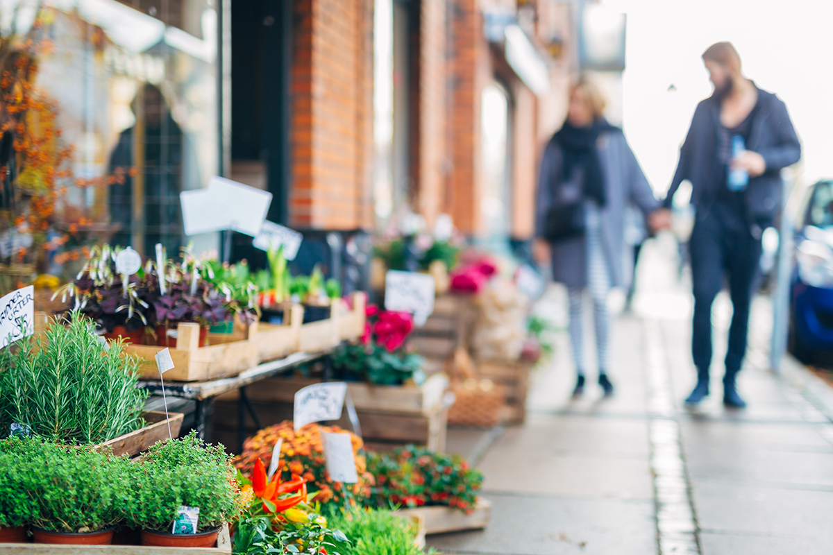 Janskerkhof Bloemenmarkt, Amsterdam